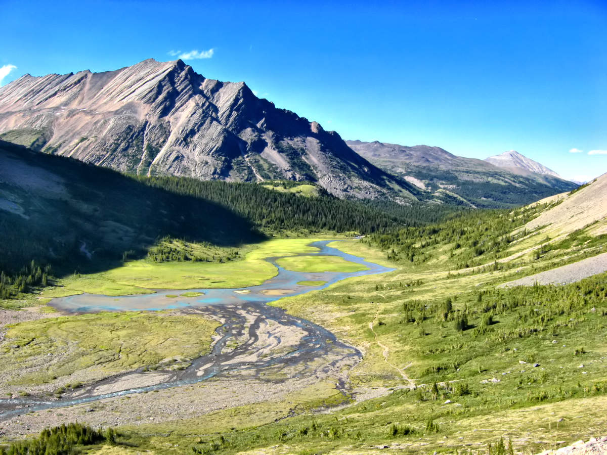 View of Brazeau R. before descending to Boulder Cr. Camp