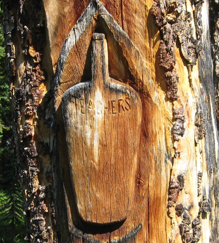 Tree carvings at Camp Parker are relics from the packtrain era